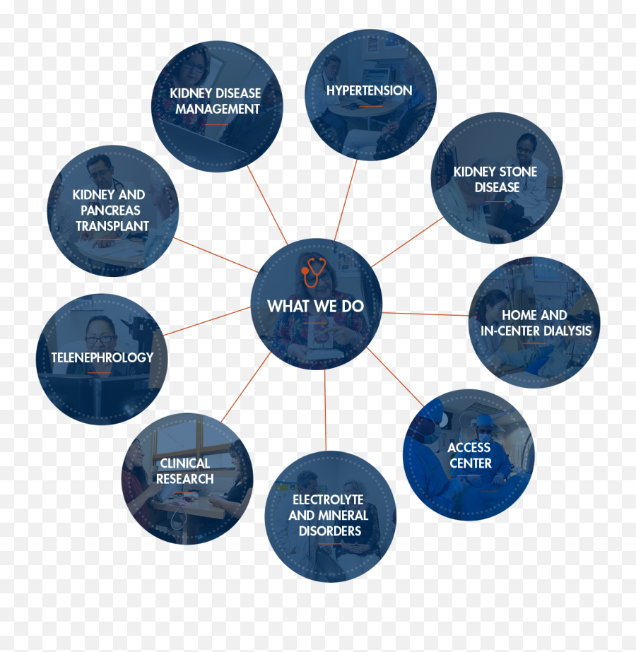 Renal Medicine Associates - Characteristics Of Ethical Innovations Emoji,Kidney Emotions