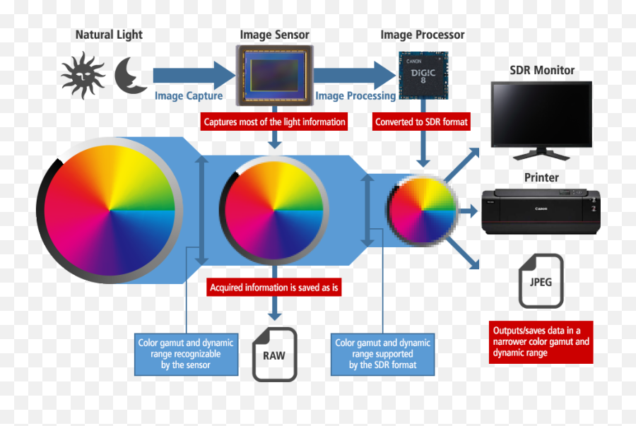 Canon Global - Vertical Emoji,No Emotions Hdr