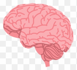Nicotine From Plants To People - What Effects Does It Have Brain With Nicotine Emoji,Photography Emotion Cigarette