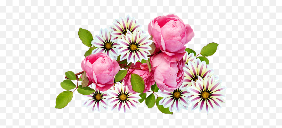 100 Free Roses Daisies U0026 Rose Illustrations - Pixabay Floral Emoji,Flowers As Human Emotion Art