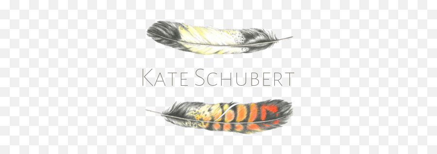 Kate Schubert Emoji,Schubert Book Emotions