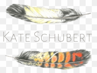 Kate Schubert Emoji,Schubert Book Emotions