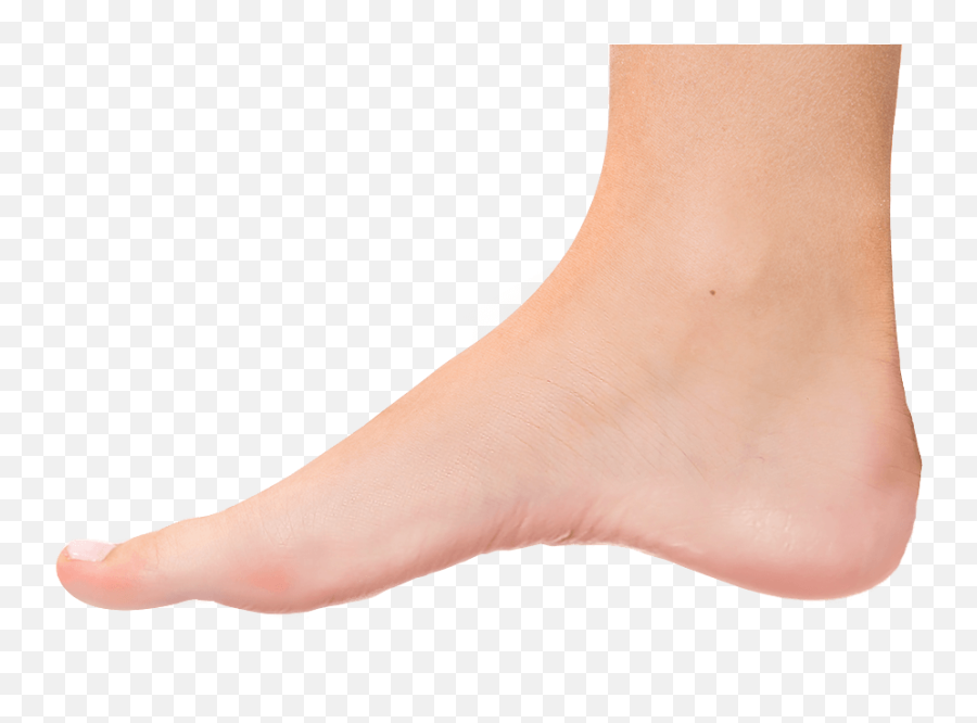 The Body - Ja Baamboozle Transparent Human Foot Png Emoji,Emoji For Foot Touching