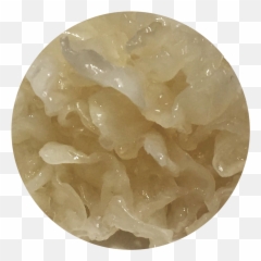 Aggregation A Tasting Menu - Whitechapel Gallery Tremella Emoji,Emotion Foam Dice