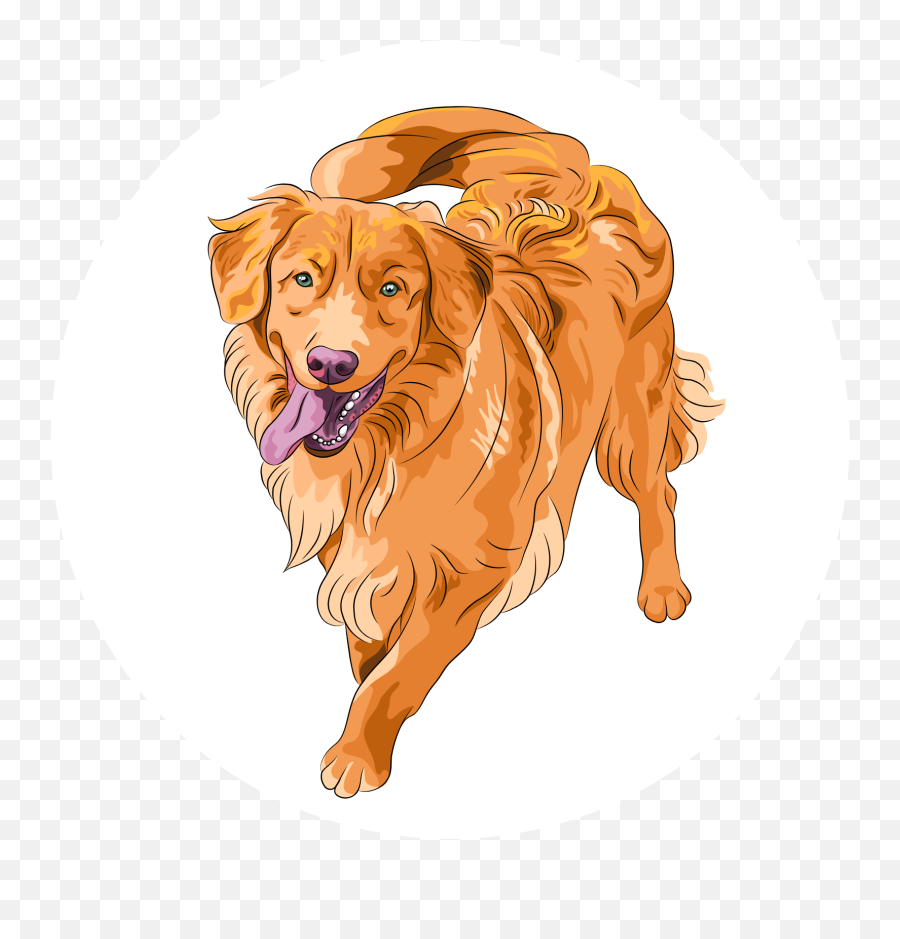 Golden Retriever Rescue Of Wisconsin - Nova Scotia Duck Tolling Retriever Vector Emoji,Bdo Pets Emotion