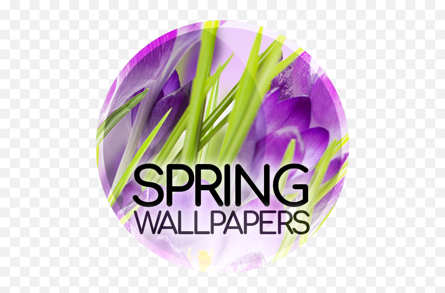 Wallpapers In The Spring 26022019 - Spring Apk Download Language Emoji,Springtime Emojis