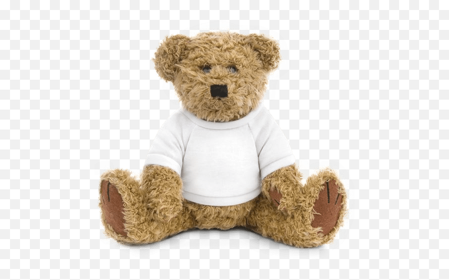 Personalised Soft Toys U2013 As Individual As You Are - Teddy Bear White Shirt Png Emoji,Using Emojis Add Your Tattoos Blank