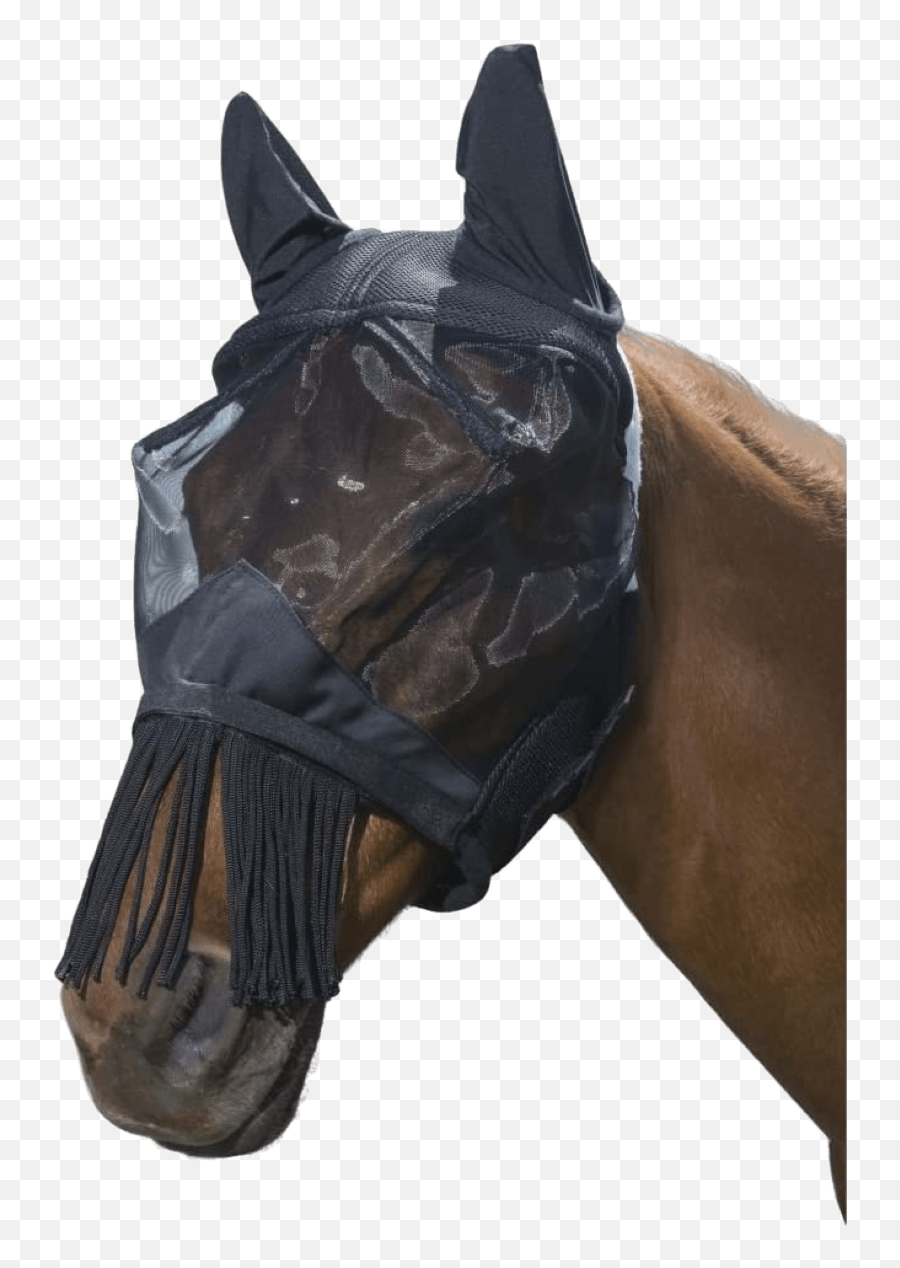 Weather Leather Horse Fly Bonnet - Black Cord Style Emoji,Horse Nose Emotion