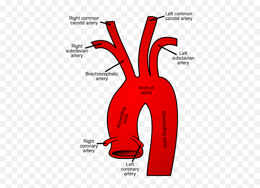 Call Me Kris June 2010 - Arch Of Aorta Branches Emoji,Biaxial Theory Of Emotions