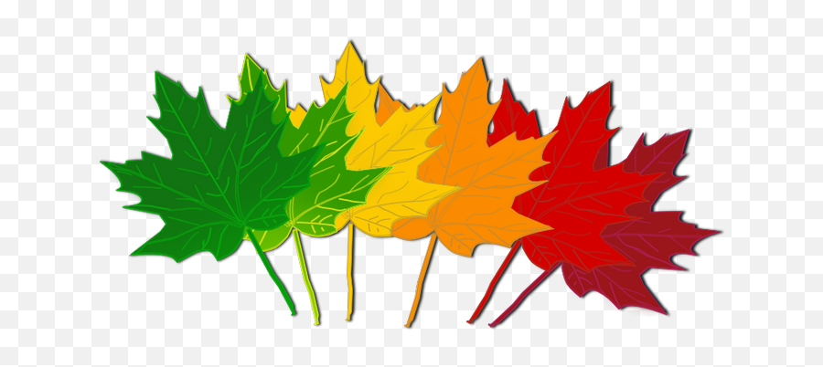 Fall Leaves Clip Art Beautiful Autumn Clipart 3 Image - Leaves Change Color Clipart Emoji,Fall Leaf Emoji