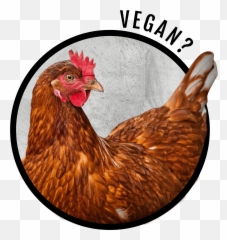 Health Environment Animals Laborers Emoji,Emotion Check In Chcke Out