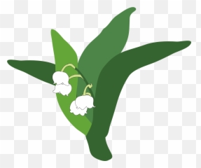 Lily Of The Valley Clipart Transparent - Lirio De Los Valles Png Emoji,Lily Pad Emoji