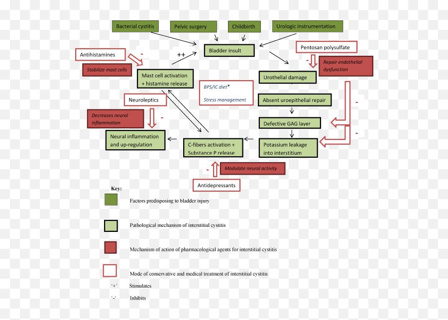 An Odyssey Through Chronic Pelvic Pain In Women - Vertical Emoji,Modified Differential Emotions Scale