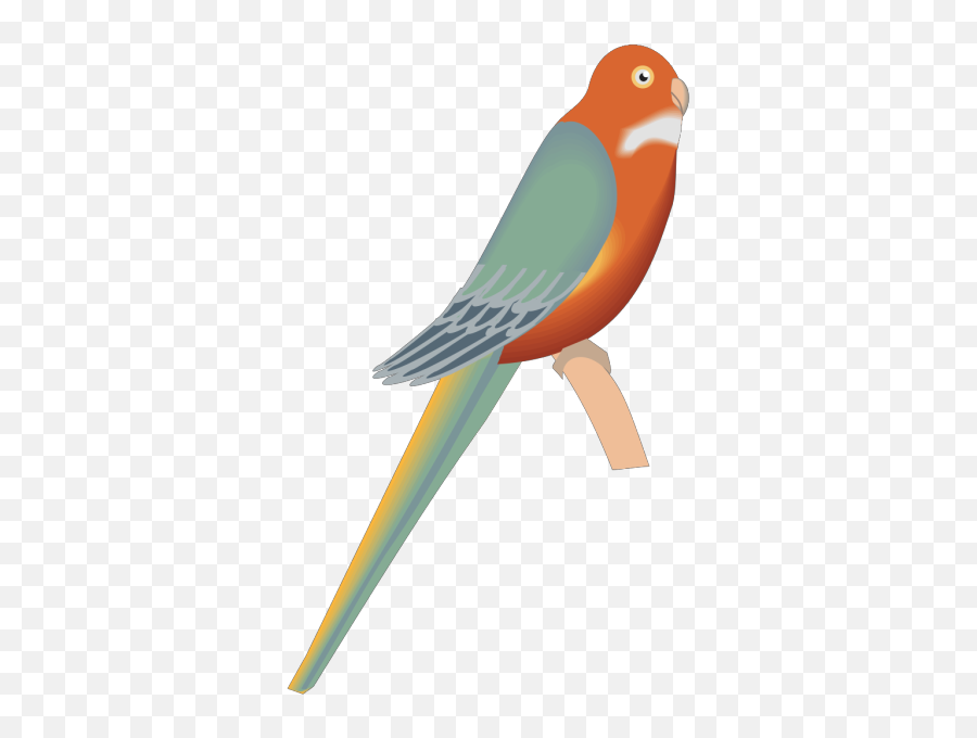 Parakeet Png Svg Clip Art For Web - Download Clip Art Png Parkit Png Emoji,Drake Bird Emoji