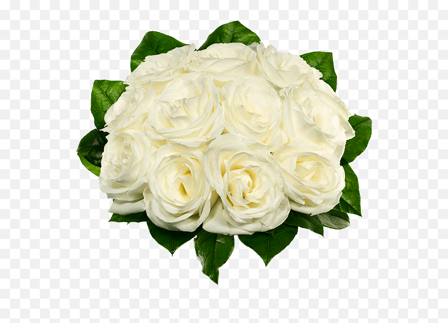 Custom Flower Vase Picture Vase Fromyouflowers - White Dozen Roses Emoji,Facebook Emoticons In Picrures