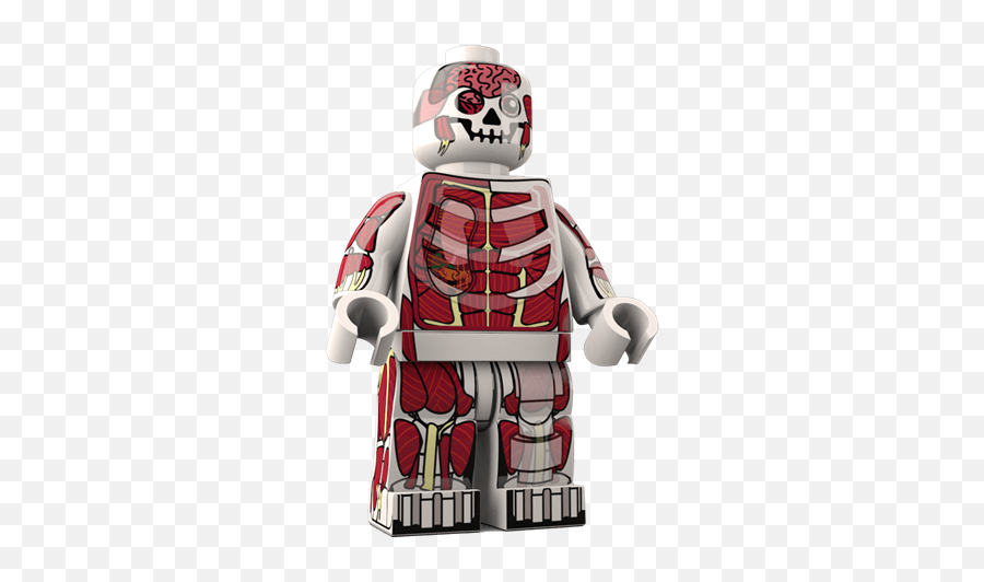 Dr Anatomini - Custom Minifigure Custom Lego Mini Figures Lego Minifigure Emoji,Picture Of Emotion Faces Storm Troopers