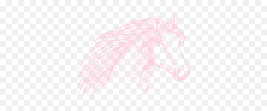 Bridle Up Hope Emoji,Don't Place Your Hopes And Emotions In One Person