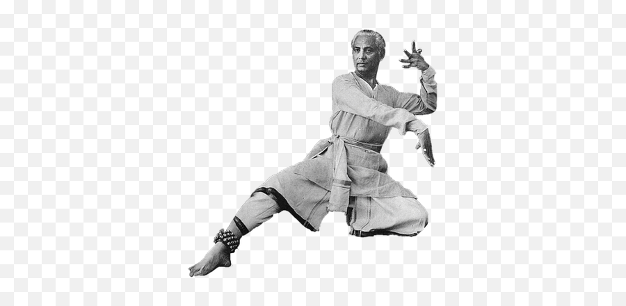 Kuchipudi - Martial Artist Emoji,Poses For Emotions Indian Dance