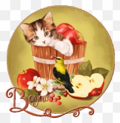 Dernière Cafe Bonjour Gif Scintillant - Abdofolio Serveware Emoji,Deus Vult Discord Custom Emojis