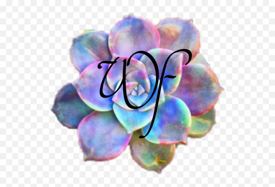 Freelancing Blog Feed Wonderforest - Succulent Plant Emoji,Hold My Flower Emoji