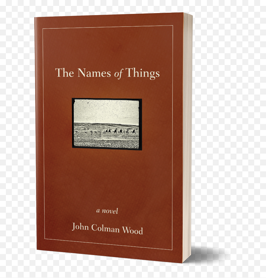 The Names Of Things A Novel By John Colman Wood Emoji,Nameless Emotion