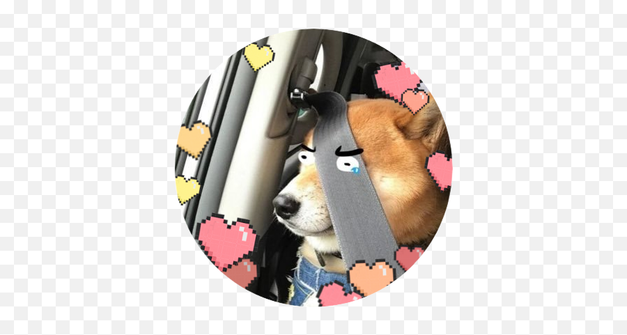 Ohmyfrigg On Twitter Cutieeeee Voltron Vld Emoji,How To Tell Shiba Inu Emotion