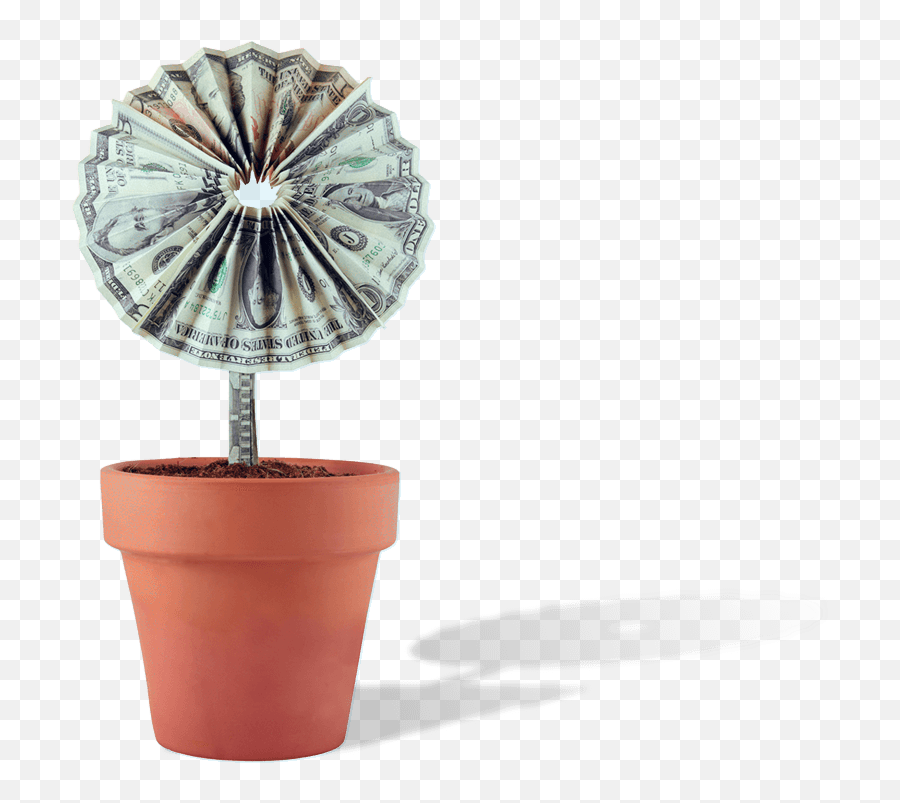 Flourish Wealth Management - Financial Planning Blog Emoji,You Are Basically A Houseplant With More Complicated Emotions