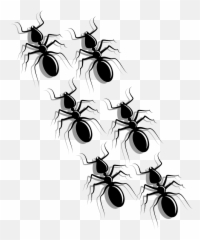 Ants Clipart - Parasitism Emoji,Sleep Ant Ladybug Ant Emoji
