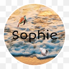Beach Turtle Seashell Tan Sticker - Bird Emoji,Turtle Bird Emoji