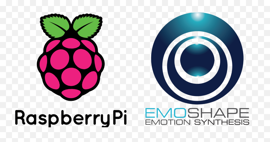 Sentient Raspberry Pi Zero Project Aiy Google - Intel Official Reseller Raspberry Pi Emoji,Detecting Emotion