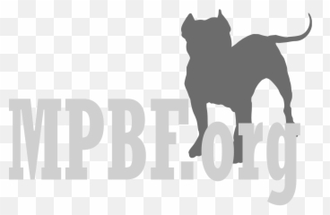 Animal Rescue Stories - Language Emoji,Canine Emotions