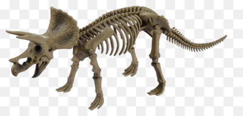 Dinosaur Brachiosaurus 104 Toys - Pose Skeleton Dinosaur Series Triceratops Emoji,Skeleton Emoji Meaning