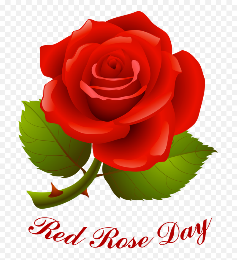 Valentine Wishes January 2017 - Happy Rose Day Png Emoji,Emotion Day Party