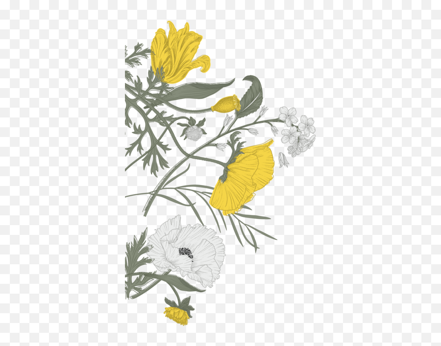 Quantum Botanicals Advanced I School Of Natural Medicine Uk - Tanacetum Emoji,Flowers As Human Emotion Art