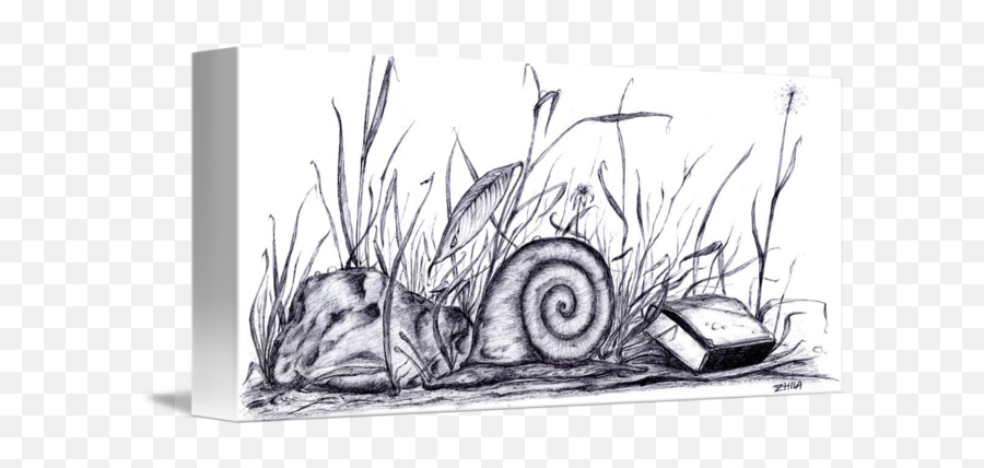 Snail With Matchbox By Andrey Zhelkovsky - Sketch Emoji,Pencil Drawings Of Emotions