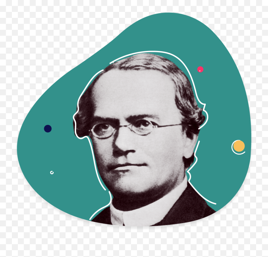 Evidence Based Decision Making - Gregor Mendel Emoji,Decision Making Uses Emotions Vfc