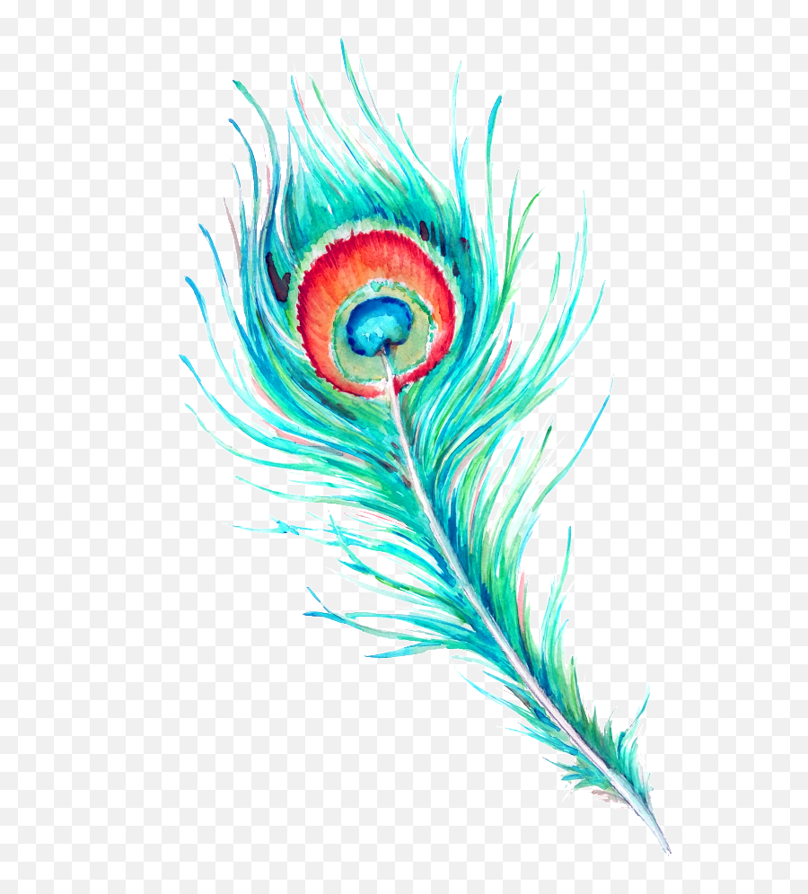 Download Peacock Feather Hd Beautiful Png - Peacock Feather Watercolor Peacock Feather Png Emoji,Peacock Feather Ascii Emoticon