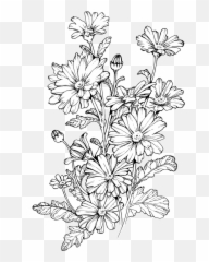 Coloring Emoji,Xoq Emojis