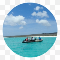 Get Involved - Jungle Doctor Emoji,Boating Emoticons Monkey