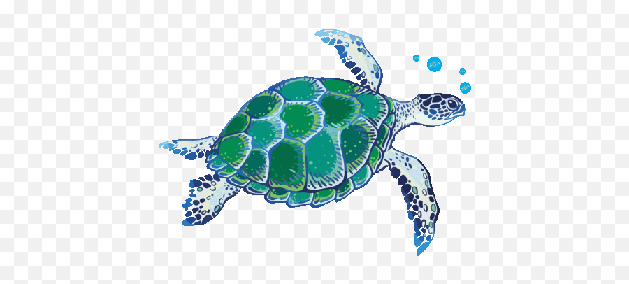 This Bird Is Small - Sea Turtle Gif Transparent Background Emoji,Turtle Bird Emoji