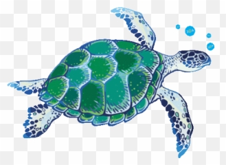 This Bird Is Small - Sea Turtle Gif Transparent Background Emoji,Turtle Bird Emoji