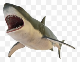 100 Free Shark U0026 Fish Illustrations - Pixabay Shark Open Mouth Png Emoji,Shark Emoji