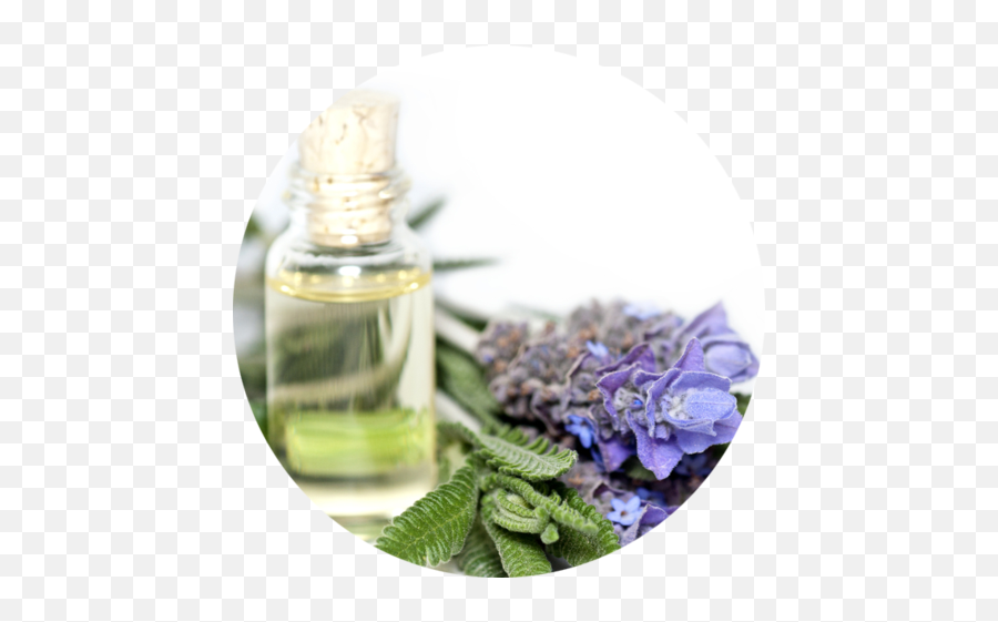 What Are The Best Essential Oils For Sleep - Lavender Oil Emoji,Doterra Loss Of Emotions