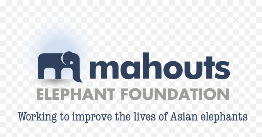 Reviews Mahouts Elephant Foundation Emoji,Elephant Touching Dead Elephant Emotion