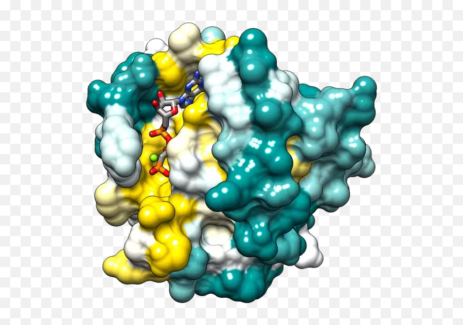Are There Any Chemicals We Eat Every Day That Are Really - Ras Protein Structure Emoji,Nasty Bananas And Pears Emoticons