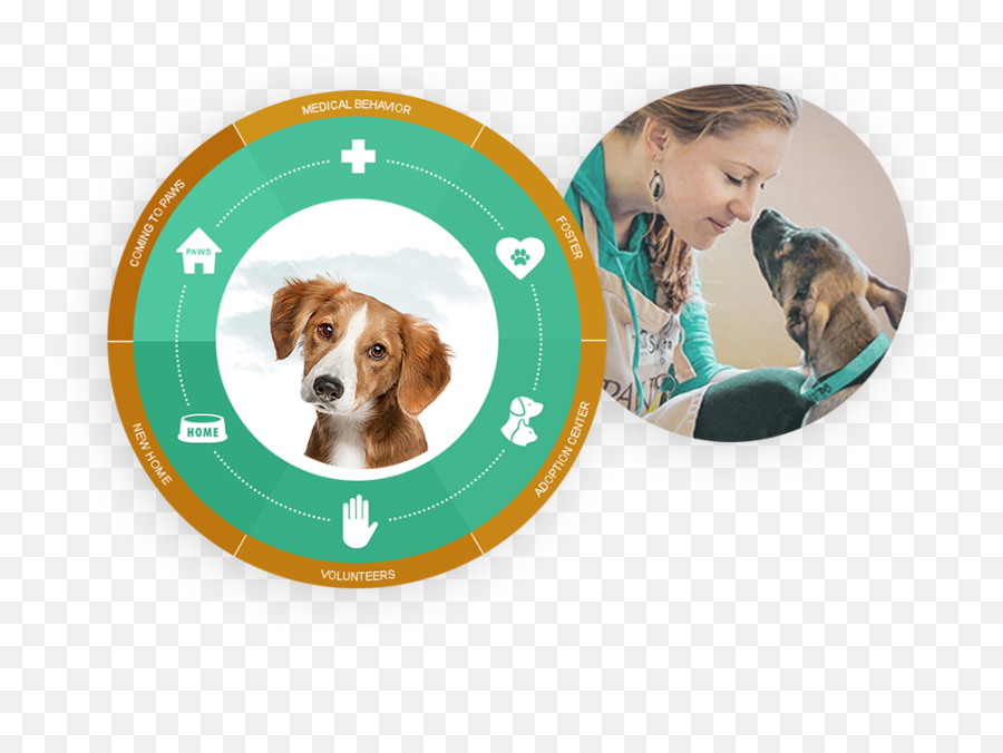 Typo3 Cms For Nonprofits - Dog Supply Emoji,Animals That Evoke Emotion