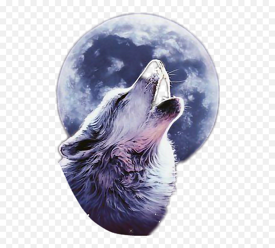 Wolf Howlingwolf Moon Sticker By Letizianocella - Werewolves And Vampires Emoji,Howling Wolf Emoji