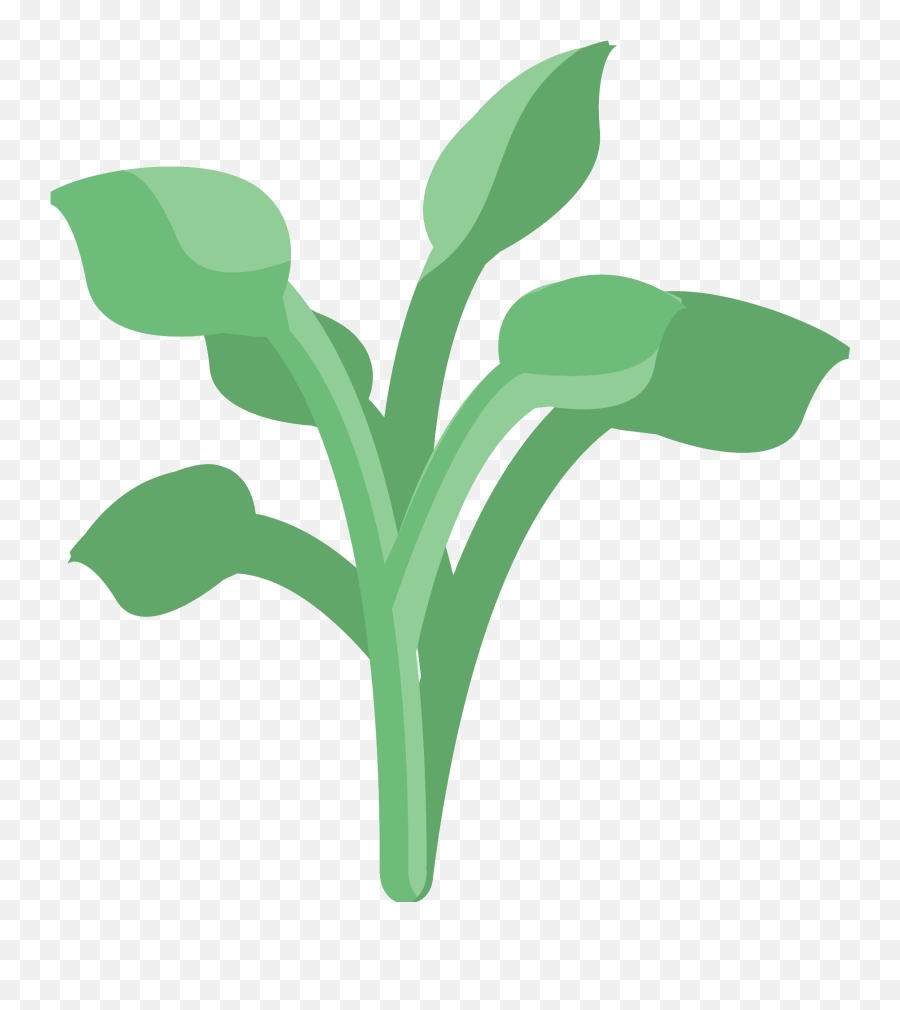 Herb Emoji Clipart - Fresh,Herb Emoji