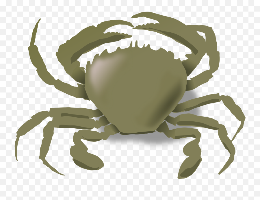 Seafood Clipart Chilli Crab Seafood - Organisms That Live Both On Land Emoji,Crab Emoticon