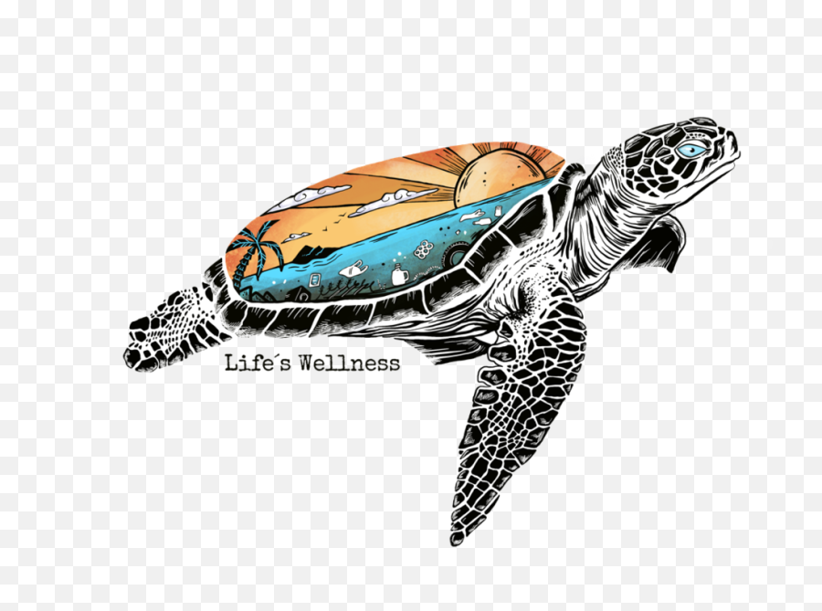 Collectionsu2013 Lifeu0027s Wellness - Hawksbill Sea Turtle Emoji,Reptiles Have Emotions